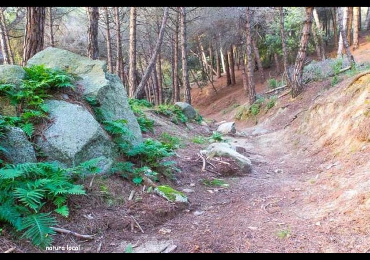 Vilassar De Dalt Costa Maresme, Barcelona ,Valentinos House & Poolヴィラ エクステリア 写真